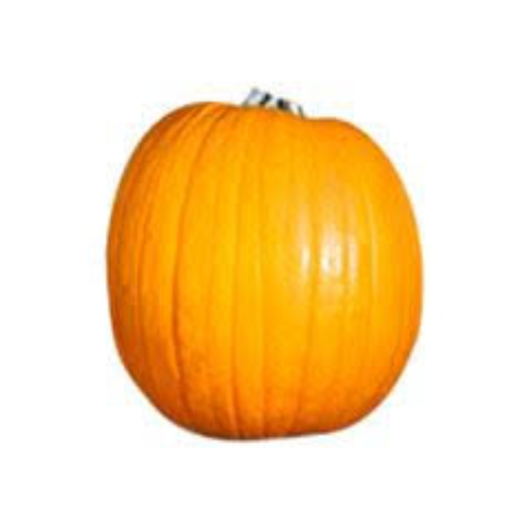 Organic Pumpkin Supplier and Wholesaler – UAE